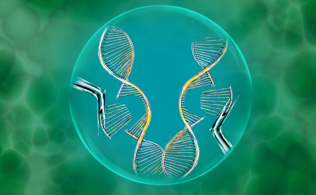 What is CRISPR used for in real life?